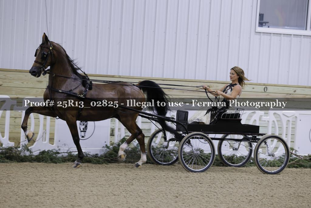 Proof 25R13_02825