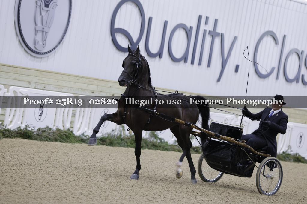 Proof 25R13_02826