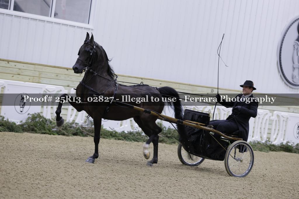 Proof 25R13_02827
