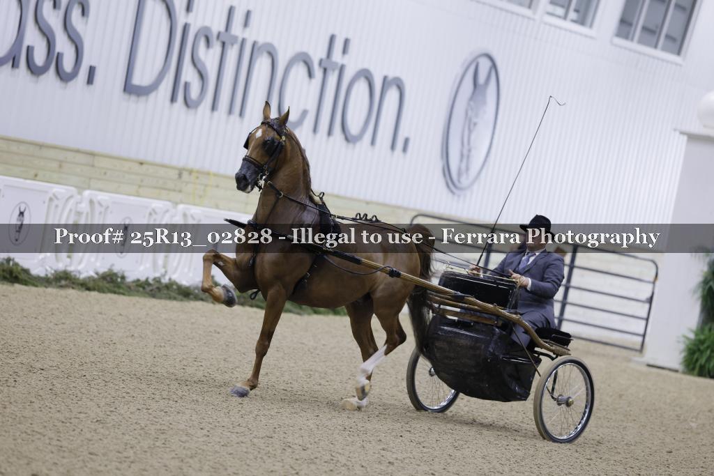 Proof 25R13_02828