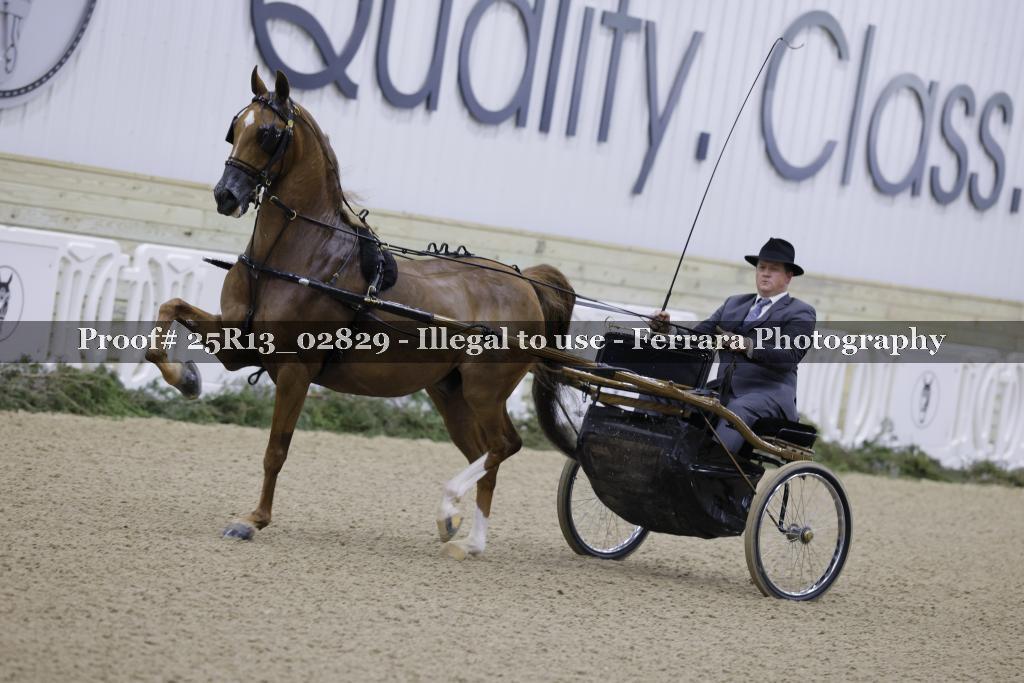 Proof 25R13_02829