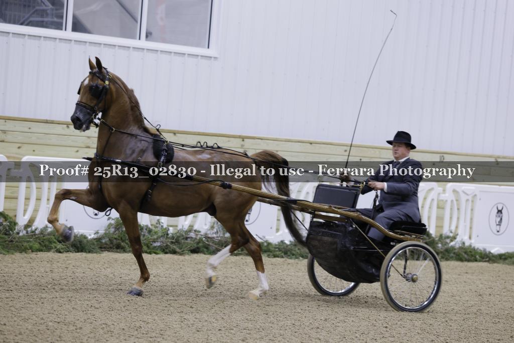 Proof 25R13_02830