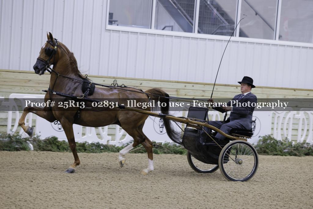 Proof 25R13_02831