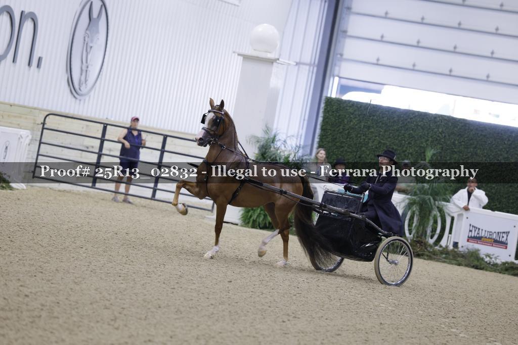 Proof 25R13_02832