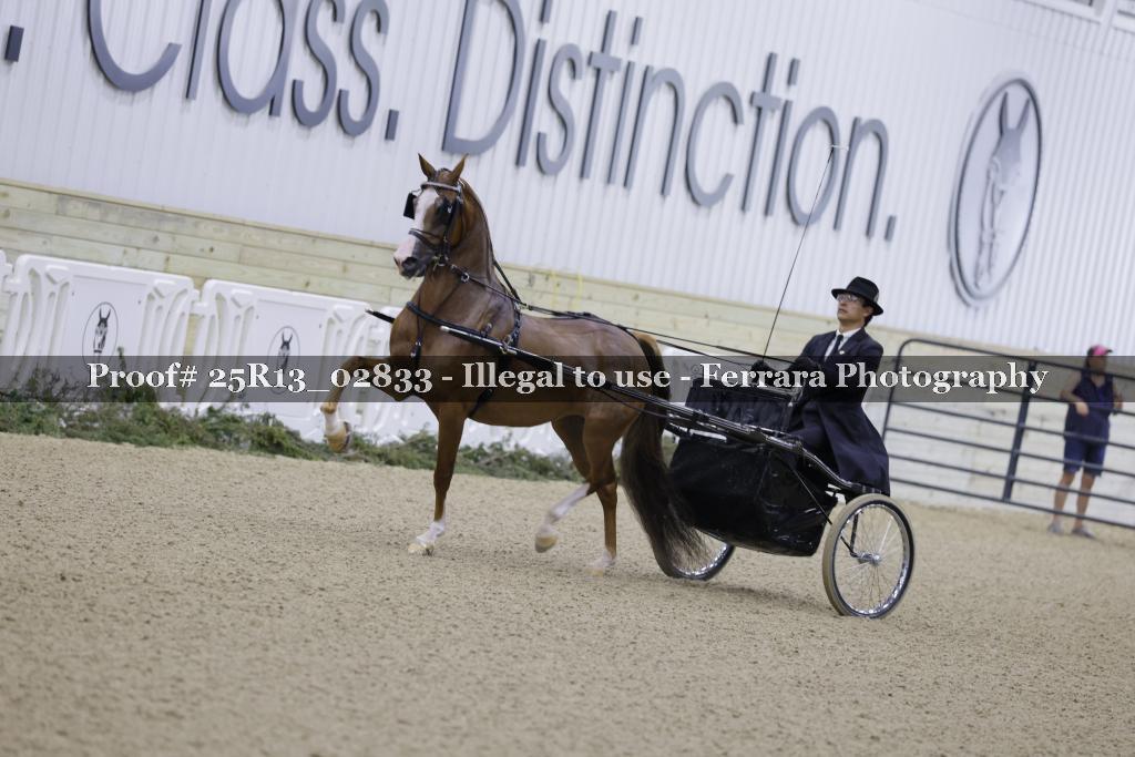 Proof 25R13_02833