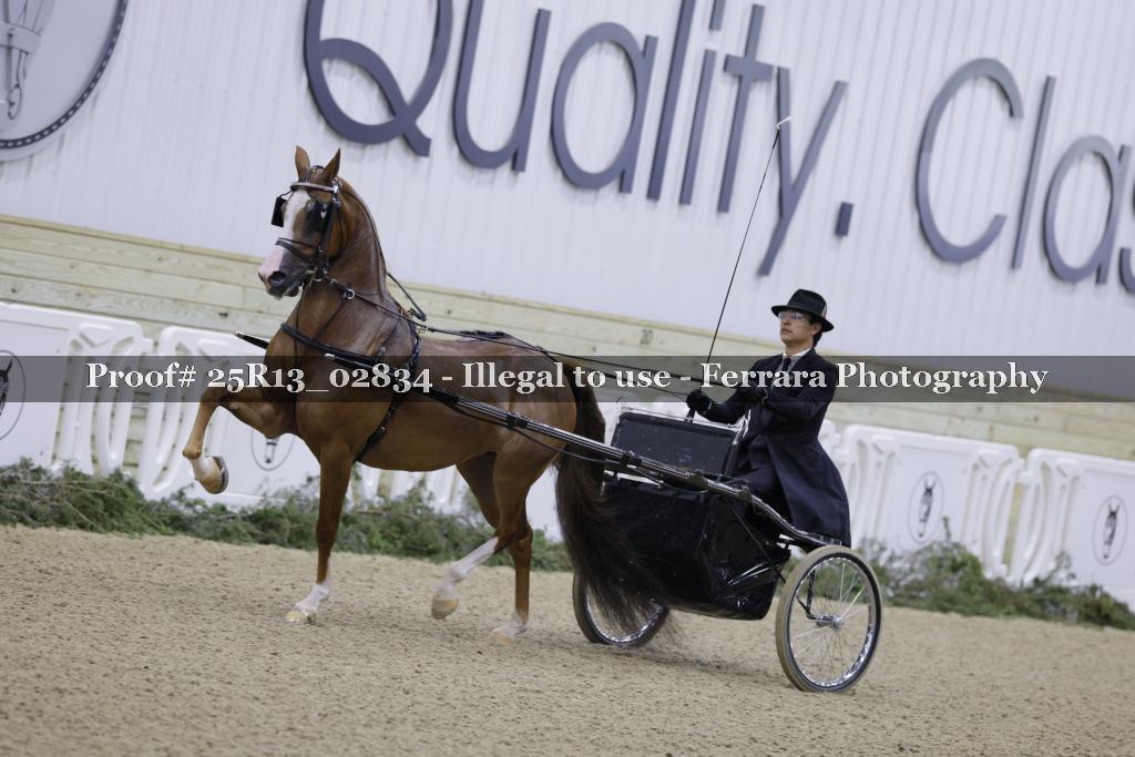 Proof 25R13_02834