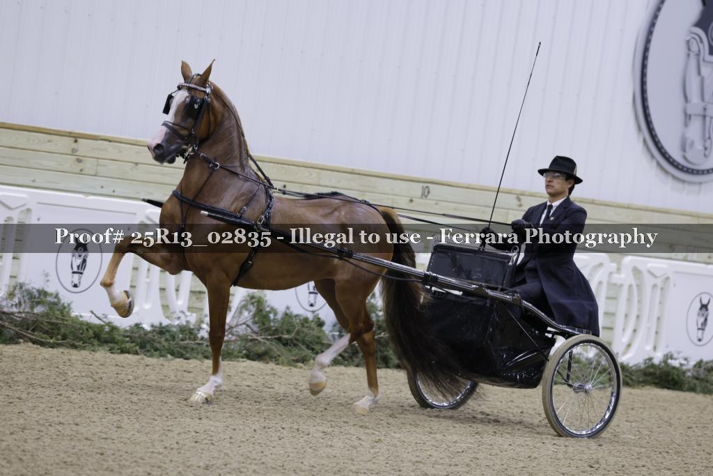Proof 25R13_02835