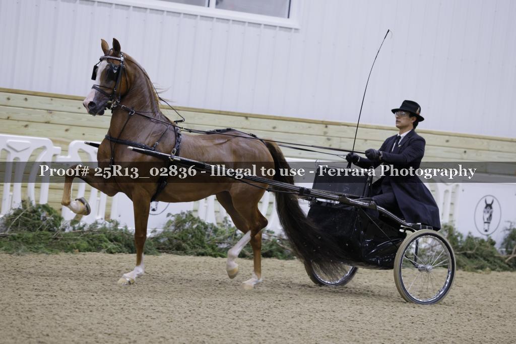 Proof 25R13_02836