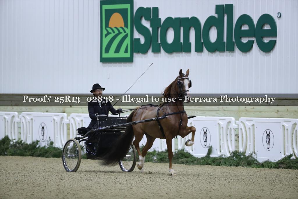 Proof 25R13_02838
