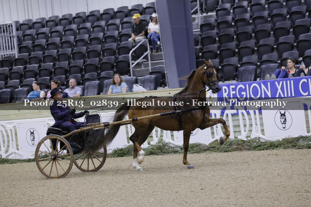 Proof 25R13_02839