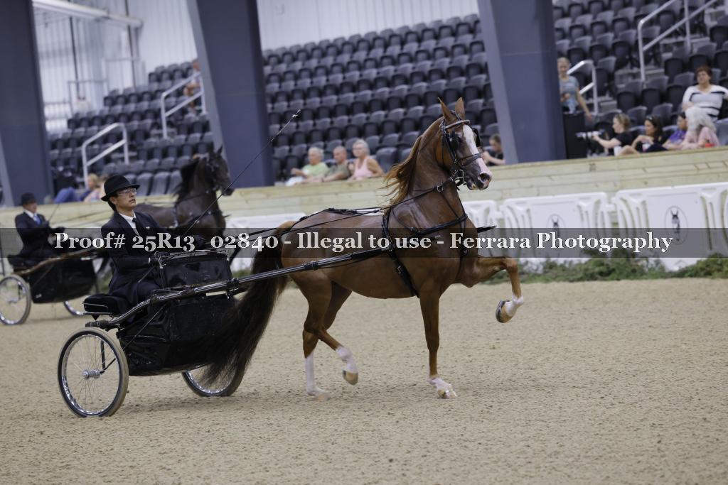 Proof 25R13_02840