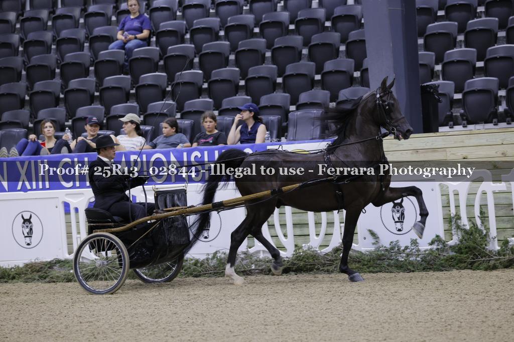 Proof 25R13_02844
