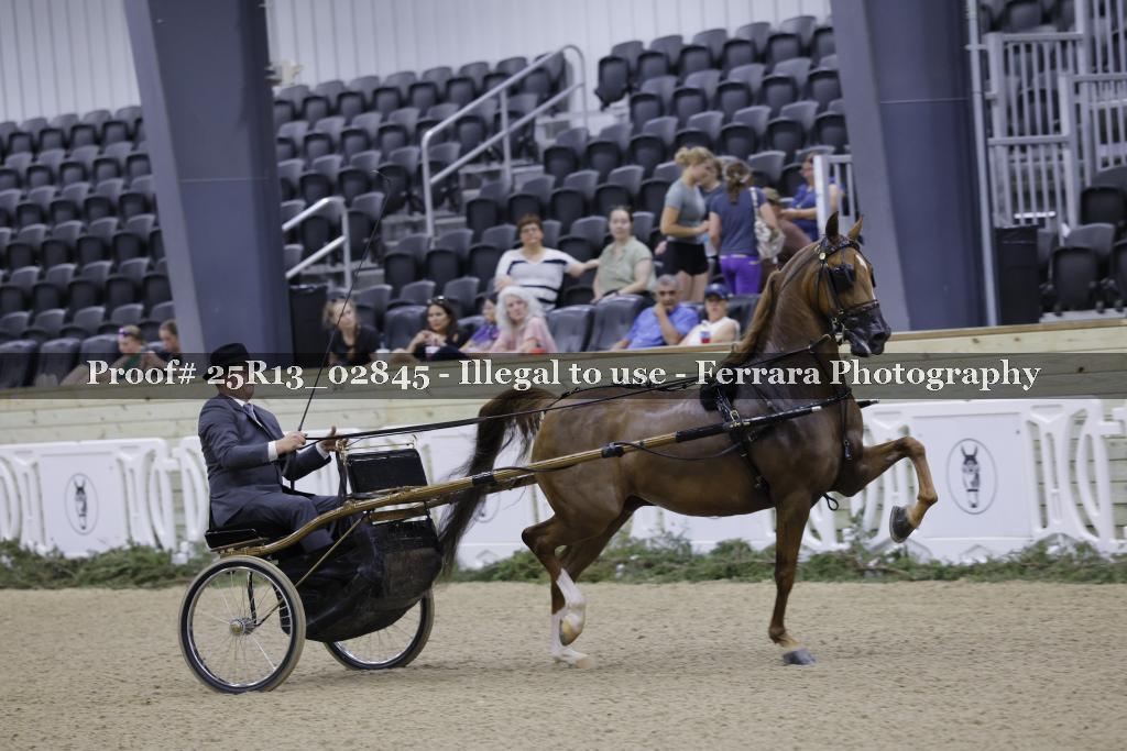 Proof 25R13_02845