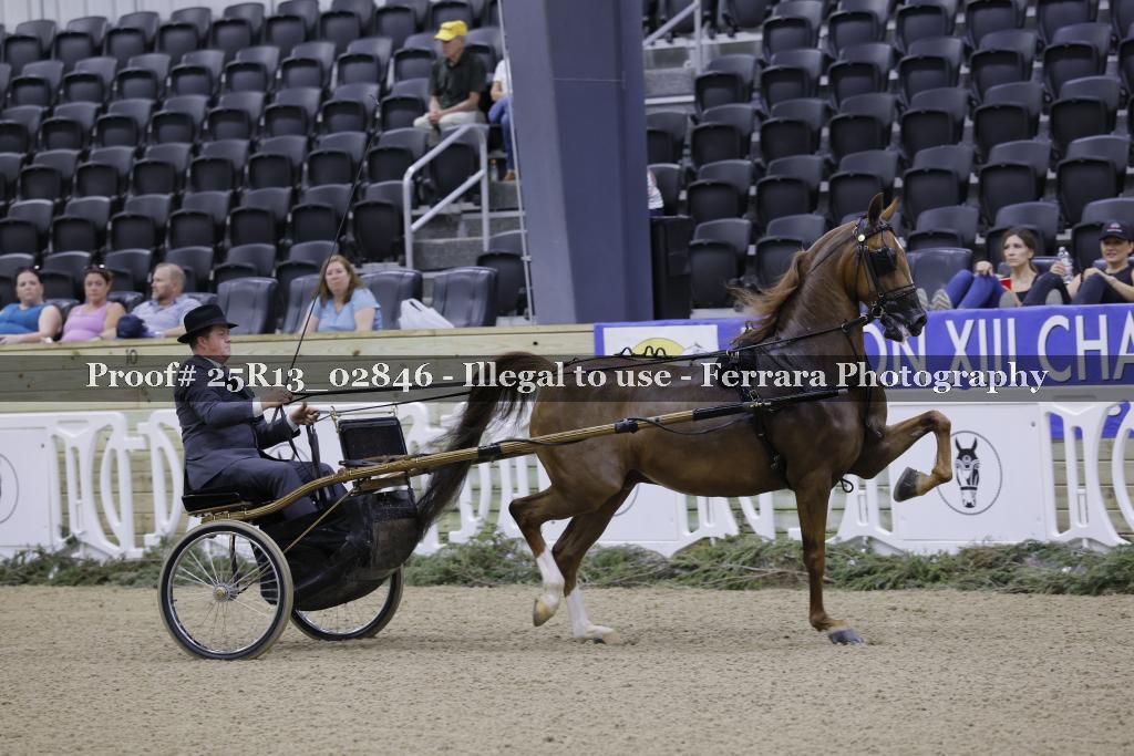 Proof 25R13_02846