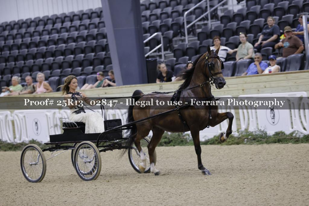 Proof 25R13_02847