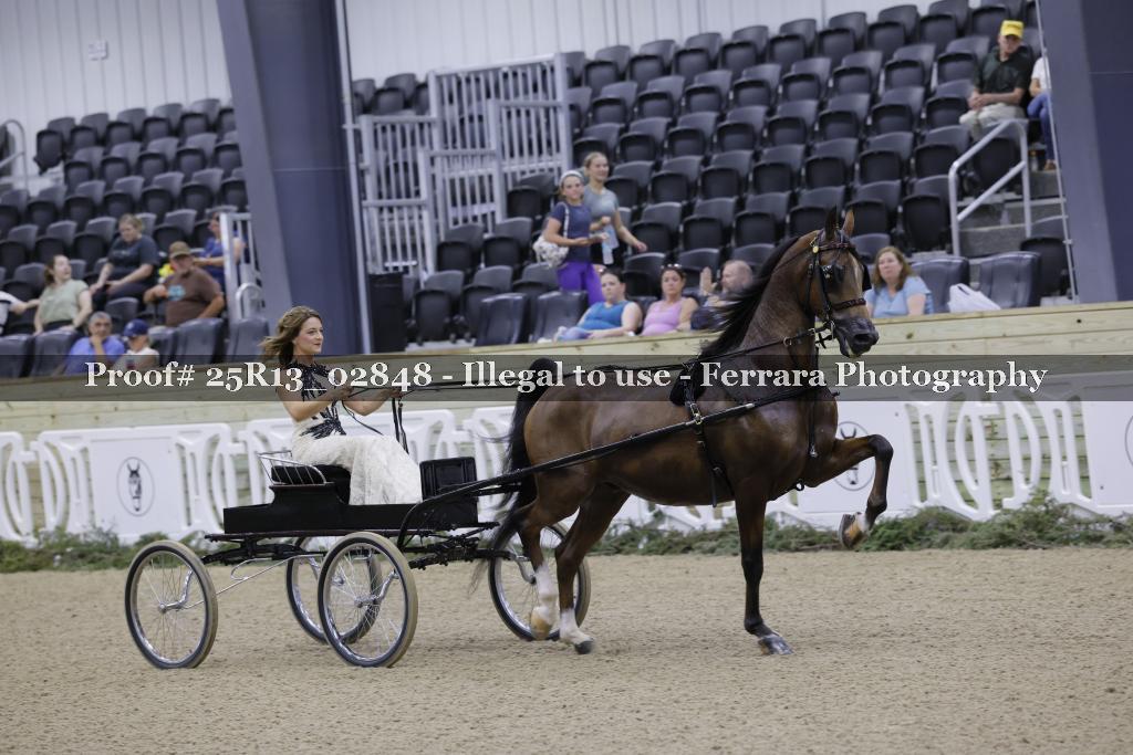 Proof 25R13_02848