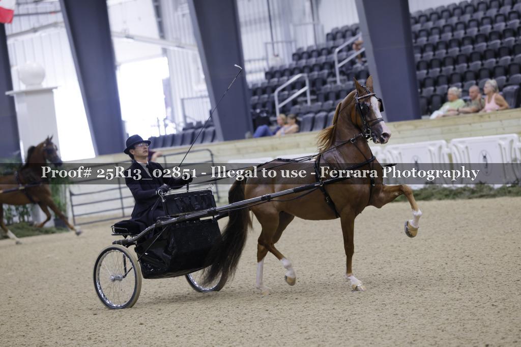 Proof 25R13_02851