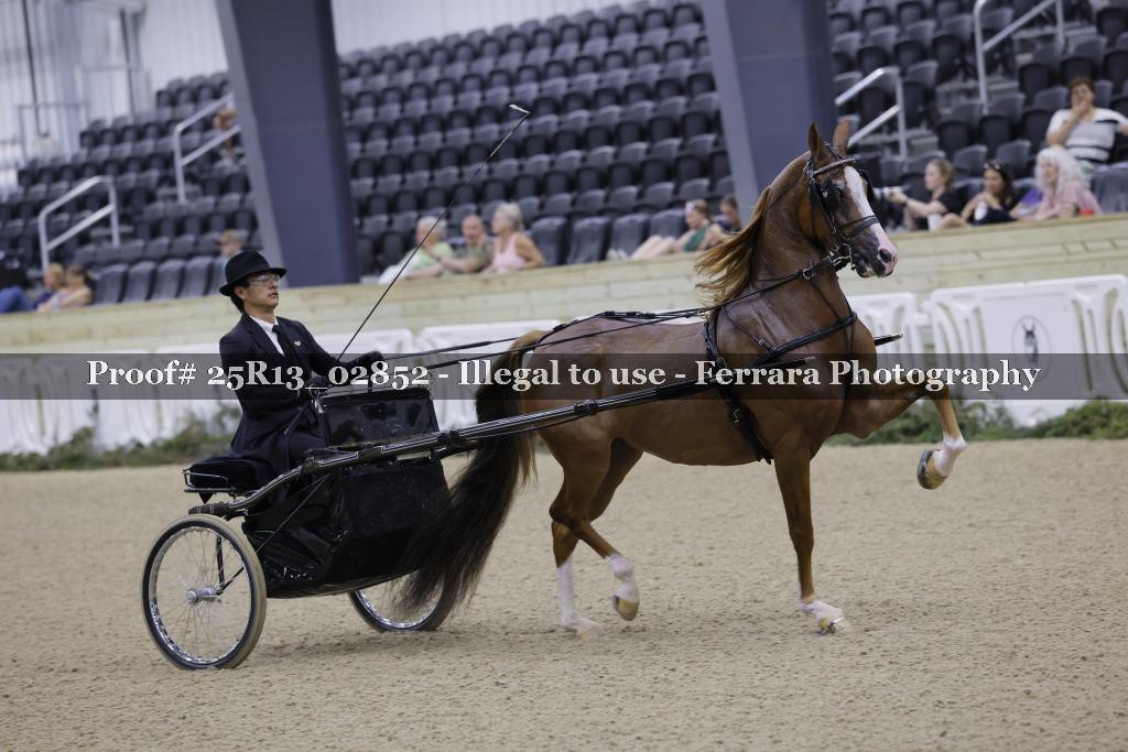 Proof 25R13_02852