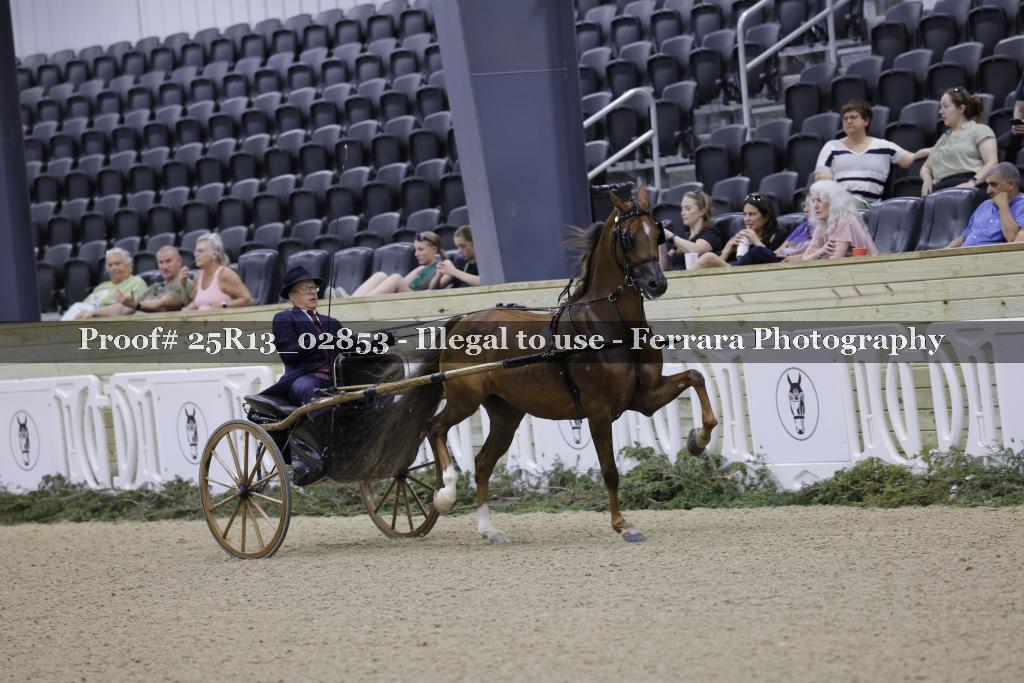 Proof 25R13_02853