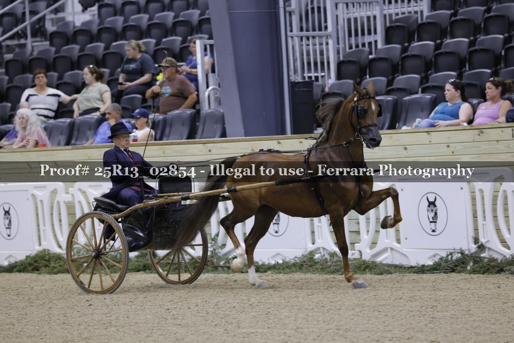 Proof 25R13_02854