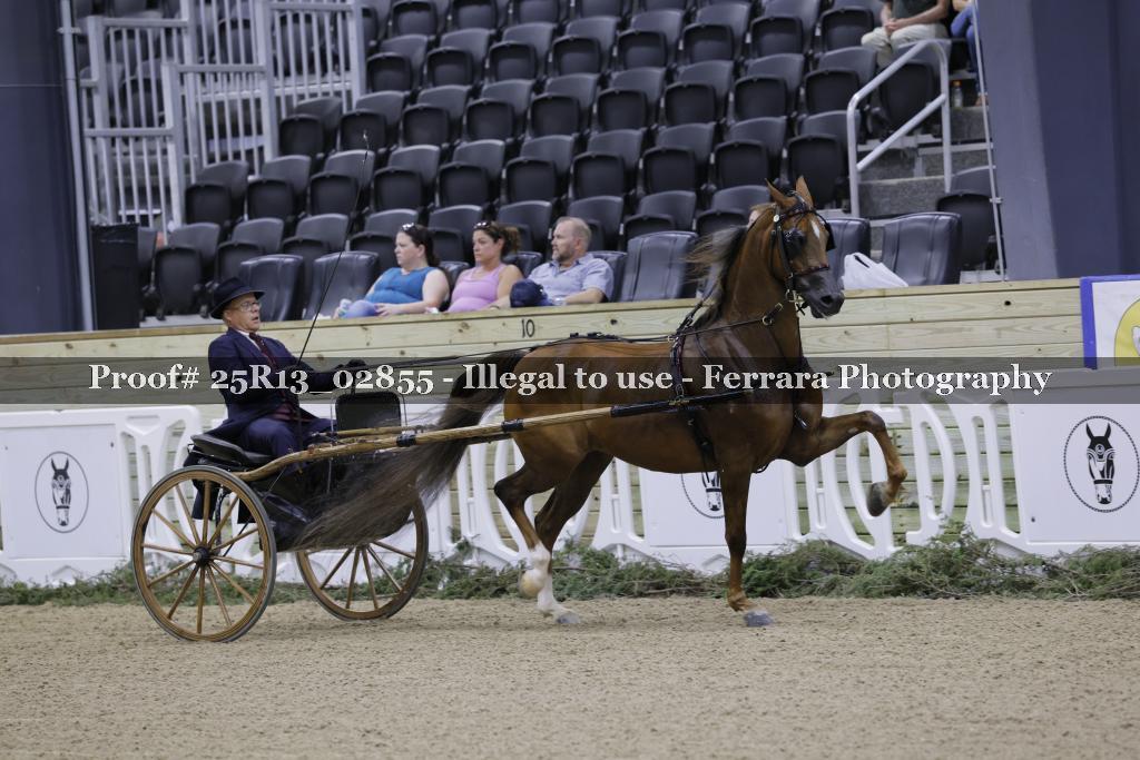 Proof 25R13_02855
