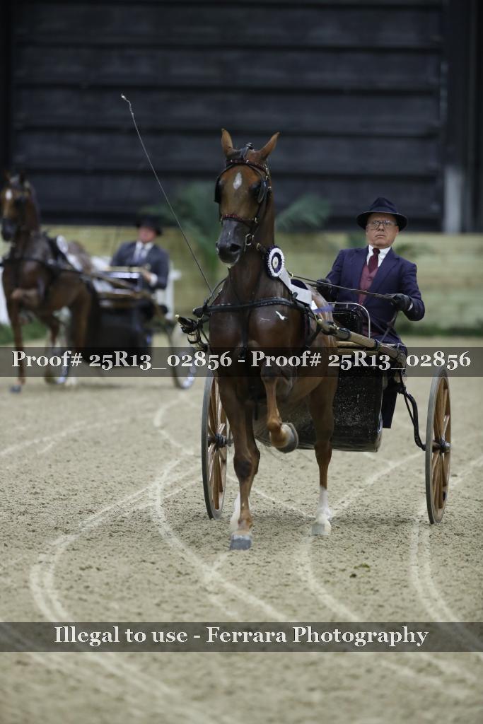 Proof 25R13_02856
