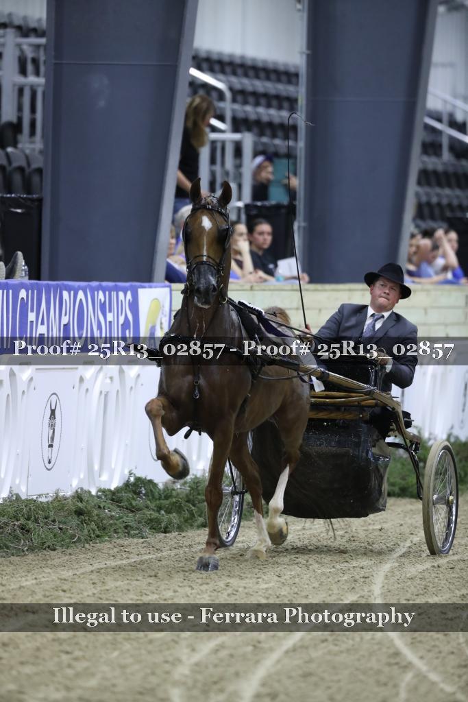 Proof 25R13_02857