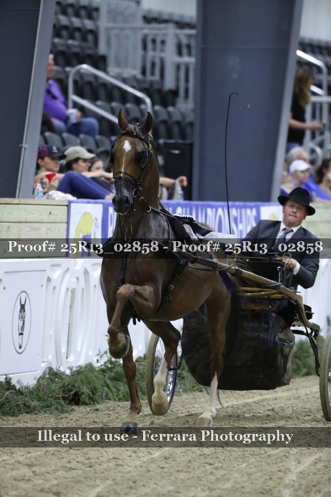 Proof 25R13_02858