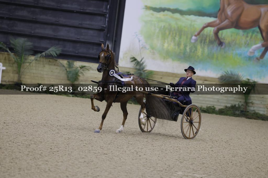 Proof 25R13_02859