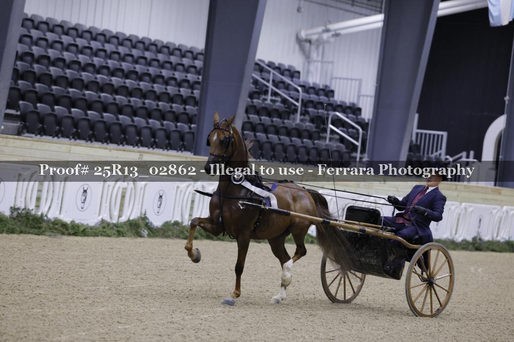 Proof 25R13_02862