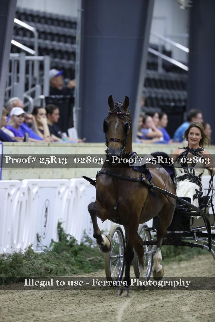 Proof 25R13_02863