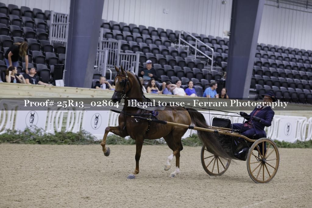 Proof 25R13_02864