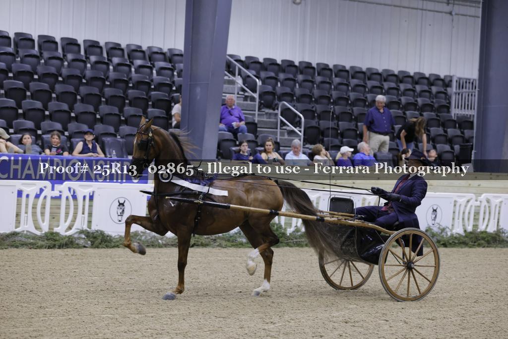 Proof 25R13_02865