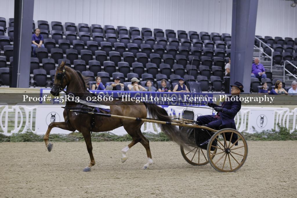 Proof 25R13_02866