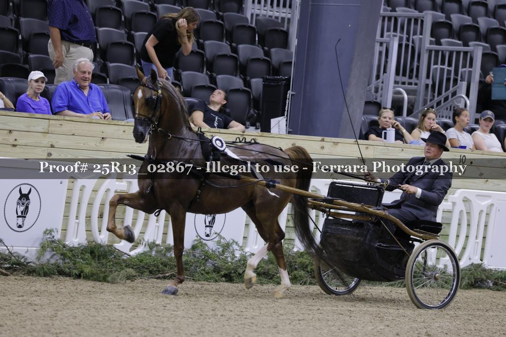 Proof 25R13_02867