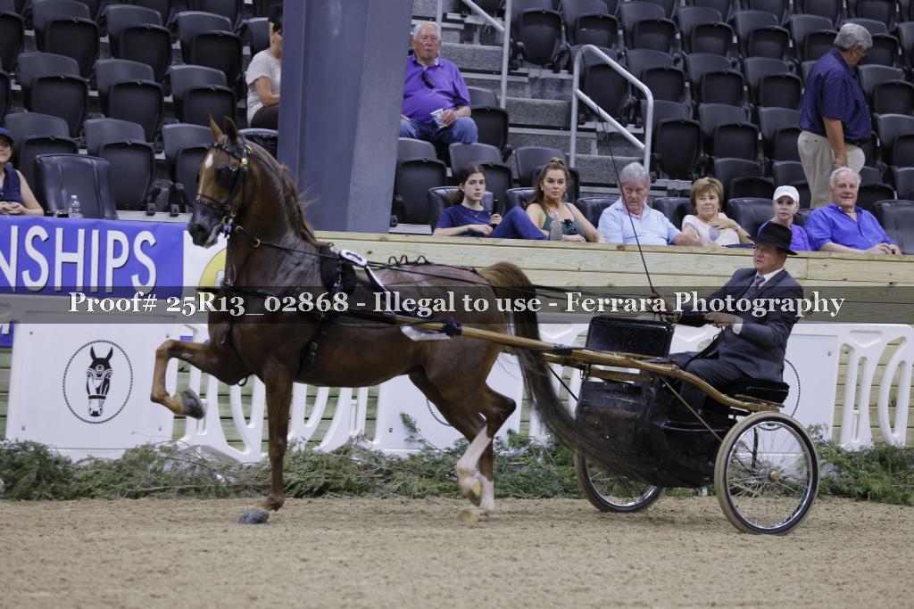 Proof 25R13_02868