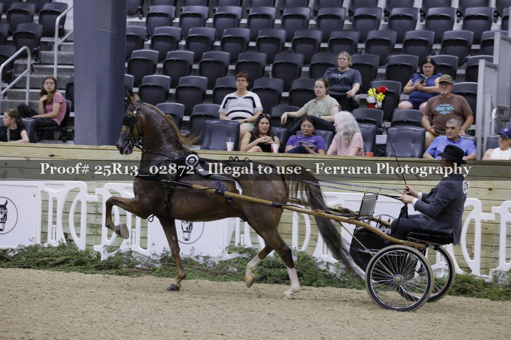Proof 25R13_02872