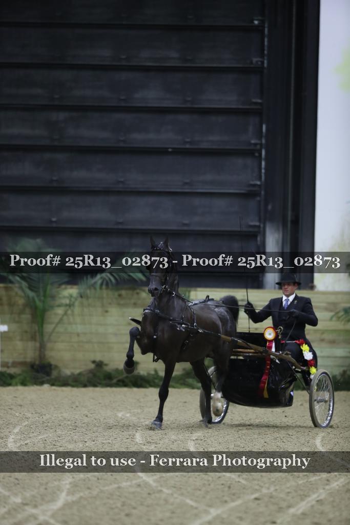 Proof 25R13_02873