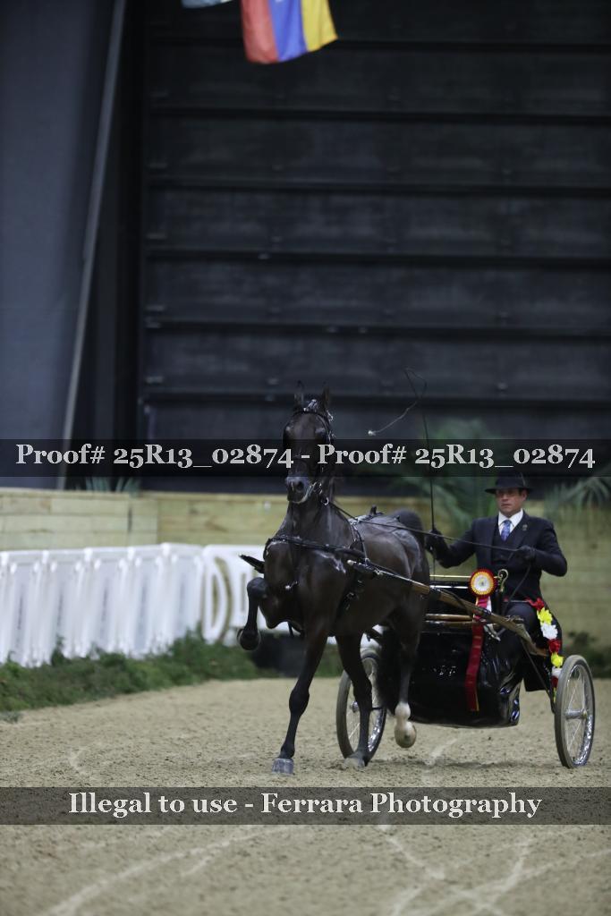 Proof 25R13_02874