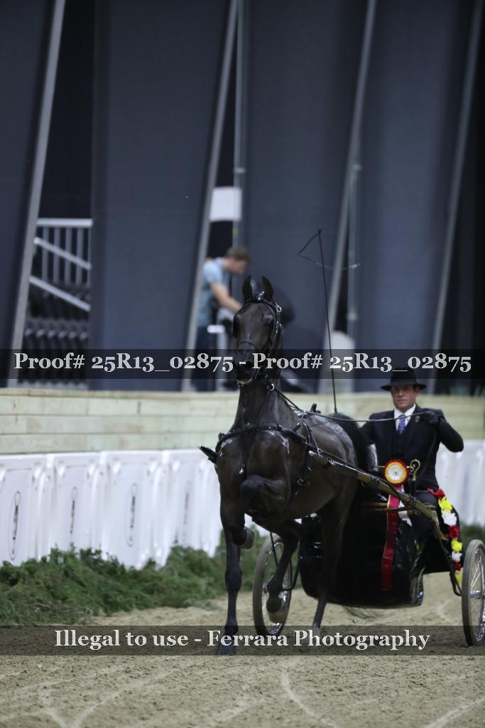 Proof 25R13_02875