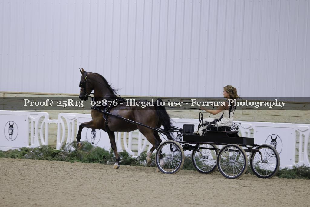 Proof 25R13_02876