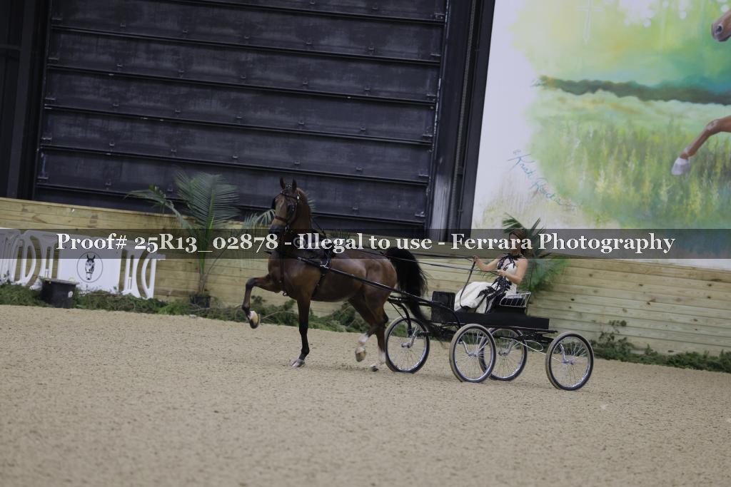 Proof 25R13_02878