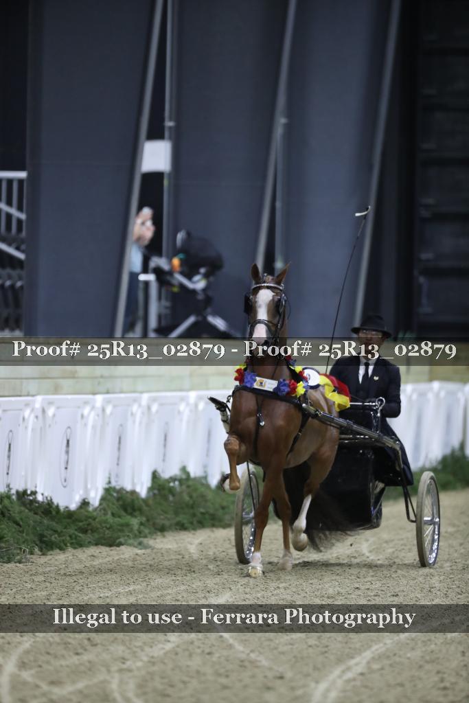 Proof 25R13_02879