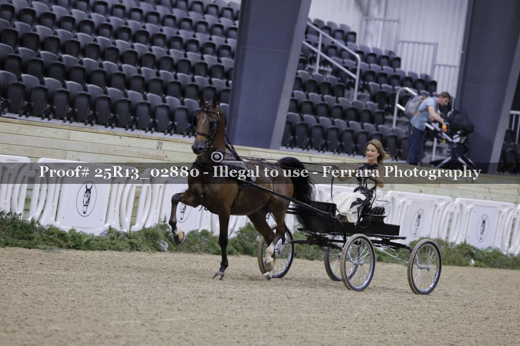 Proof 25R13_02880