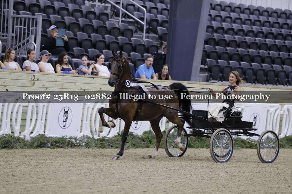 Proof 25R13_02882