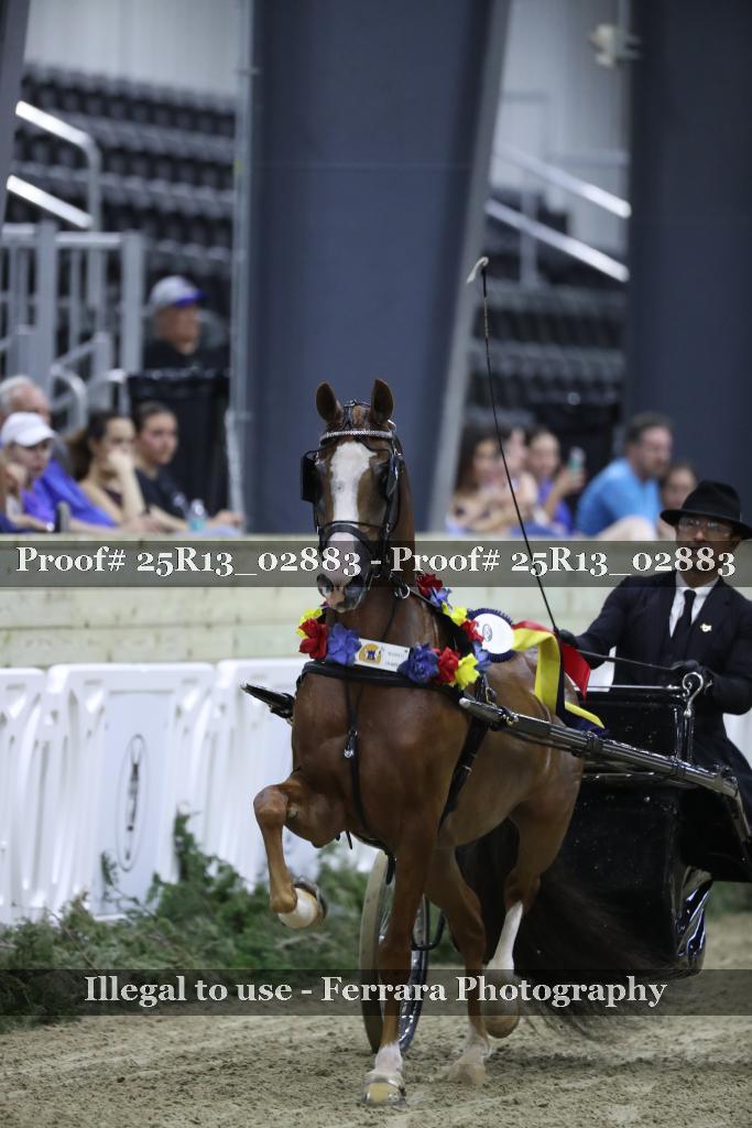 Proof 25R13_02883