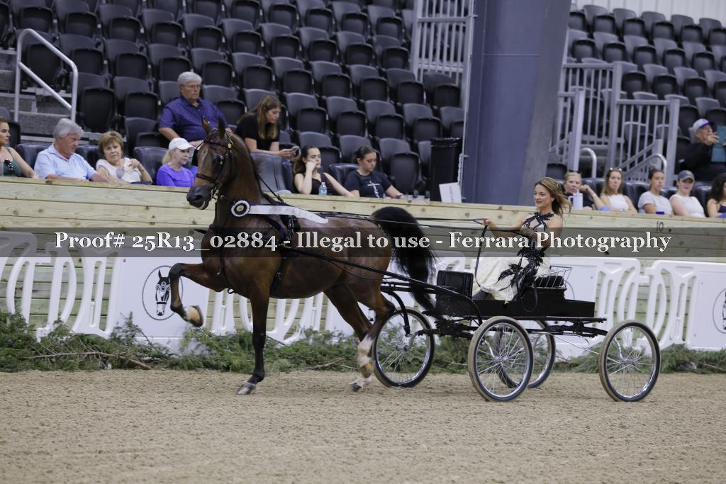 Proof 25R13_02884