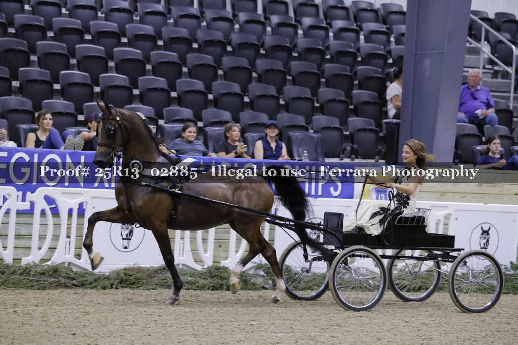 Proof 25R13_02885
