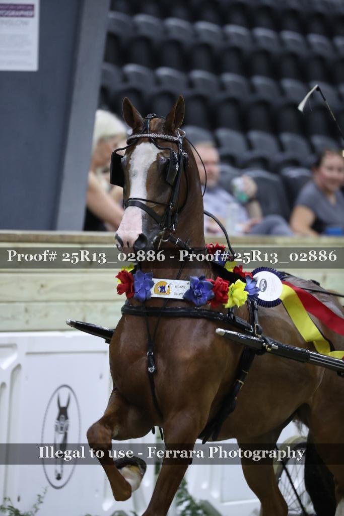Proof 25R13_02886