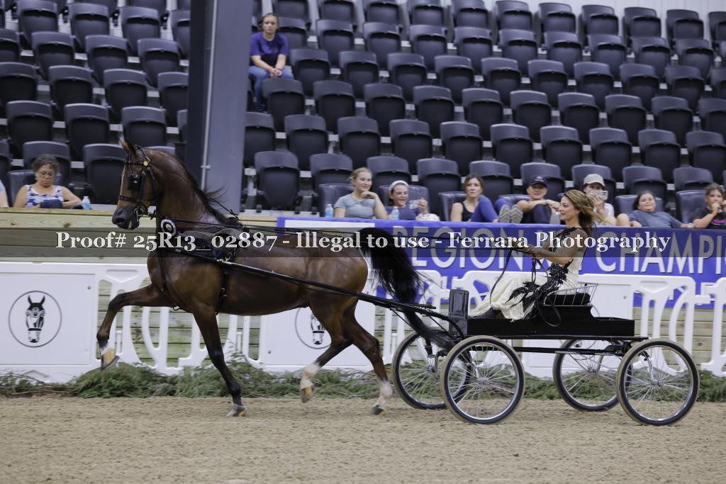 Proof 25R13_02887